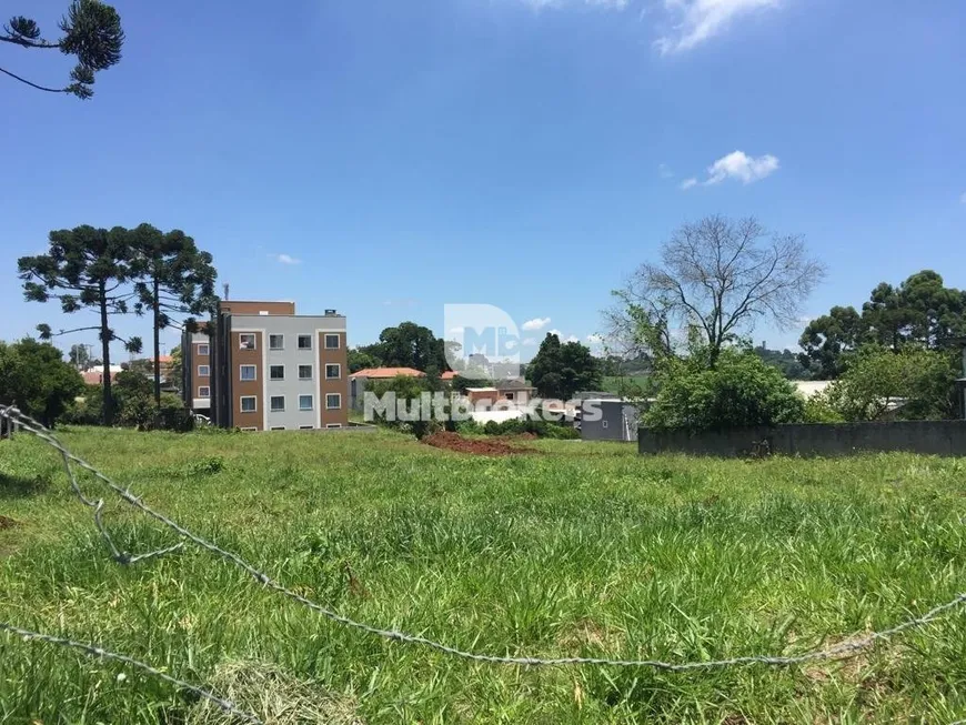 Foto 1 de Lote/Terreno à venda, 3225m² em Thomaz Coelho, Araucária