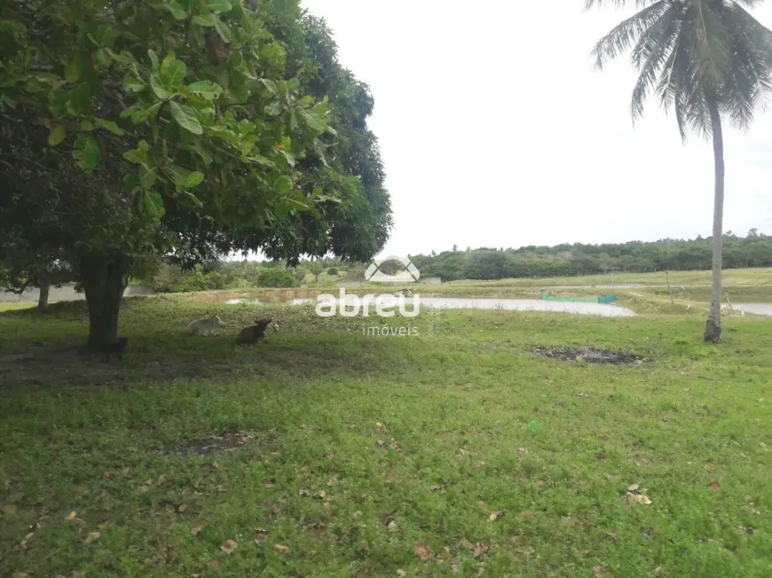 Foto 1 de Fazenda/Sítio com 3 Quartos à venda, 130000m² em Centro, Macaíba