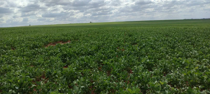 Foto 1 de Fazenda/Sítio à venda, 280m² em Centro, Tacuru