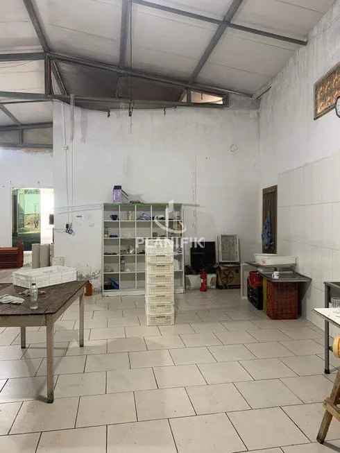 Foto 1 de Galpão/Depósito/Armazém para alugar, 80m² em Limeira Alta, Brusque