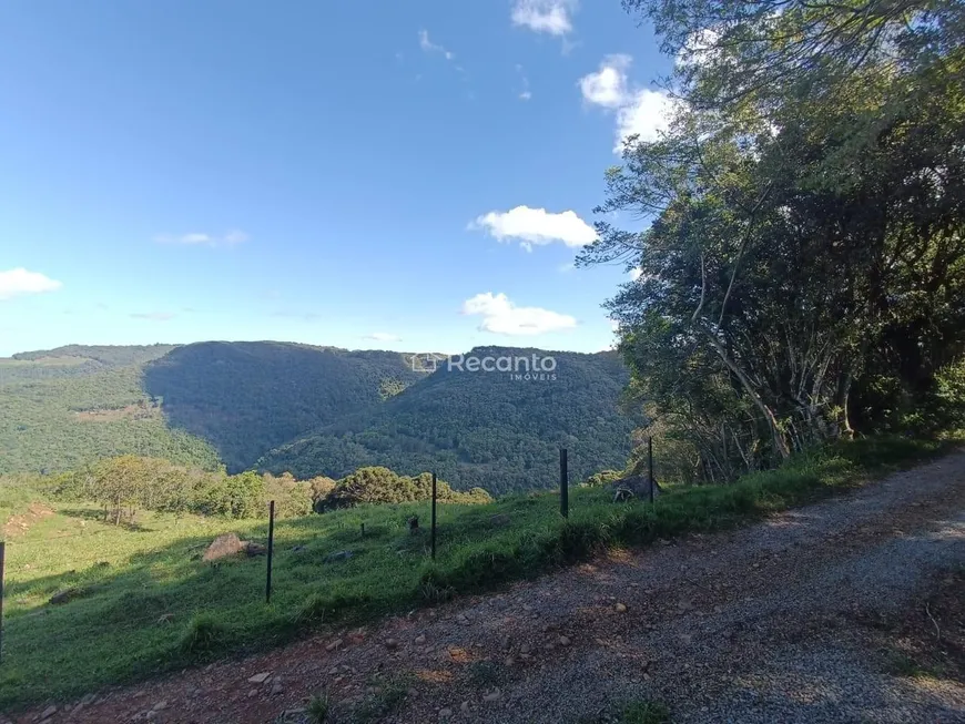 Foto 1 de Fazenda/Sítio à venda, 60000m² em , Gramado