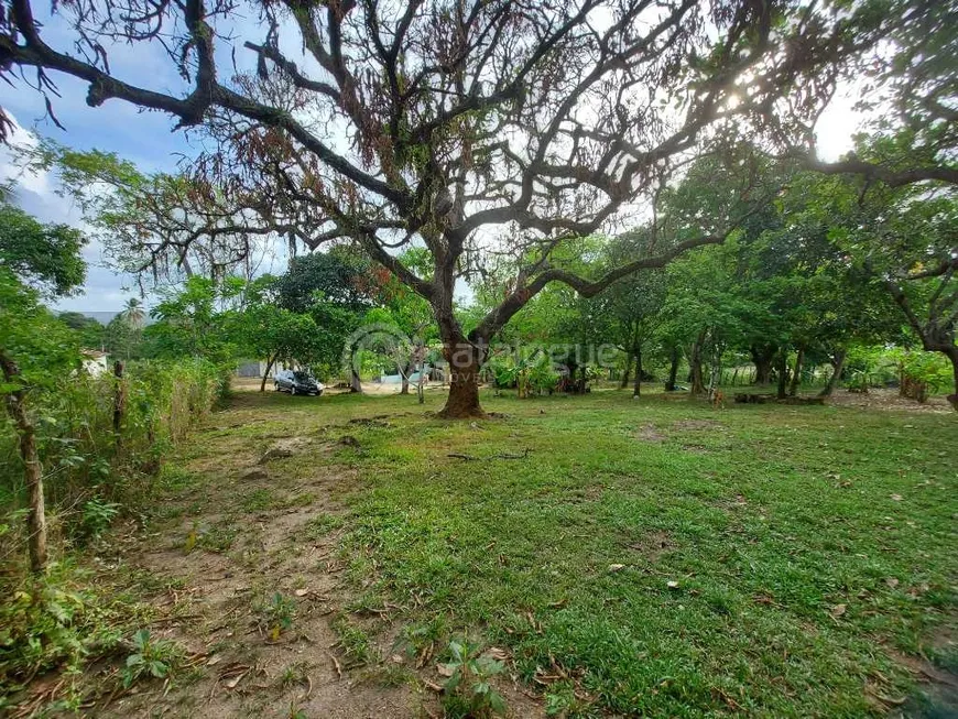 Foto 1 de Fazenda/Sítio com 4 Quartos à venda, 200m² em Zona Rural, São José de Mipibu