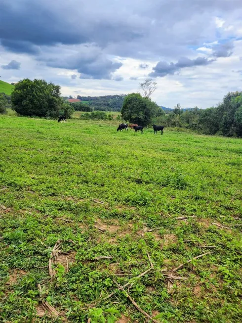 Foto 1 de Fazenda/Sítio à venda, 1000m² em , São João da Mata