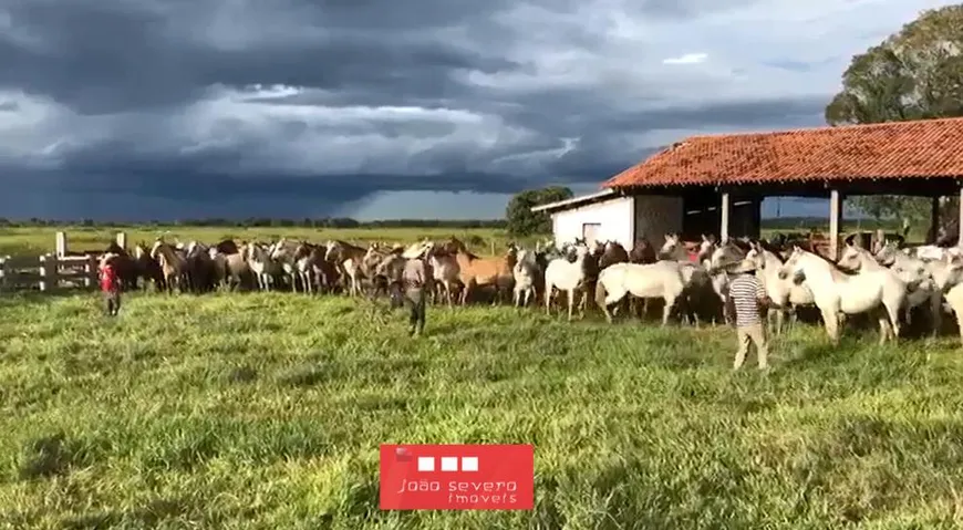 Foto 1 de Fazenda/Sítio à venda, 18181m² em , Alto Paraguai