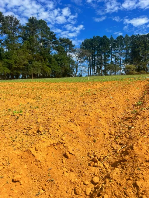 Foto 1 de Lote/Terreno à venda, 500m² em Centro, Carapicuíba