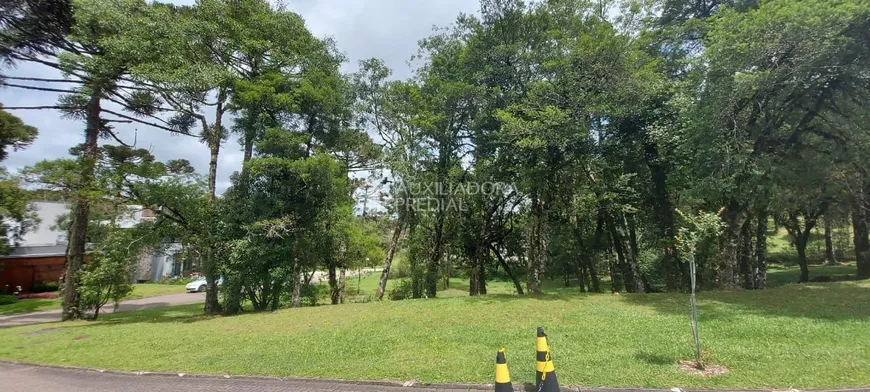 Foto 1 de Lote/Terreno à venda, 708m² em Centro, Canela