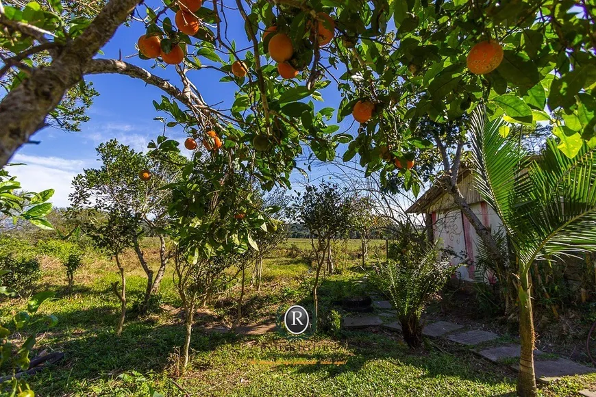 Foto 1 de Fazenda/Sítio à venda, 7m² em Faxinal, Torres