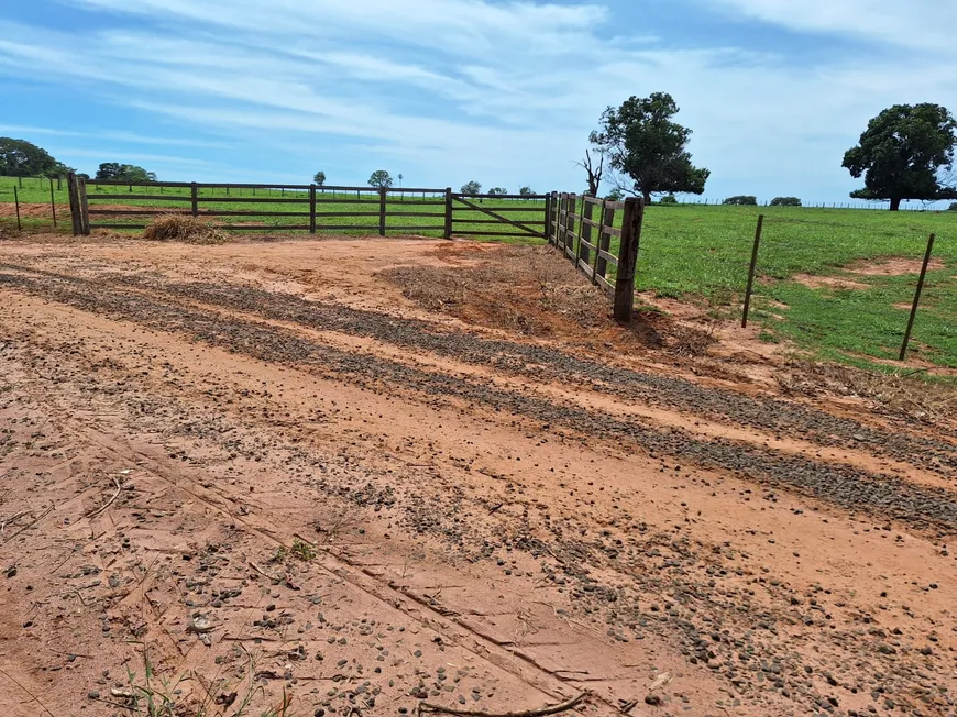 Foto 1 de Fazenda/Sítio com 2 Quartos à venda, 237160m² em Zona Rural, Santa Fé do Sul