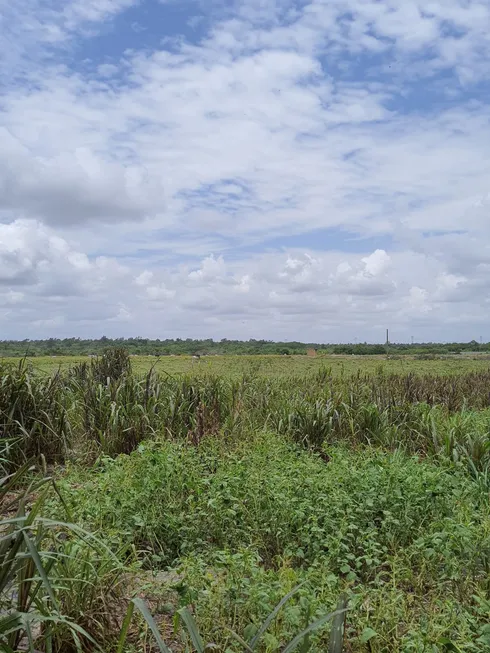 Foto 1 de Fazenda/Sítio com 3 Quartos à venda, 16000m² em Centro, Vera Cruz