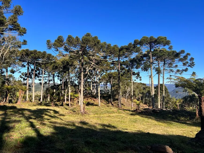 Foto 1 de Fazenda/Sítio à venda, 20000m² em Zona Rural, Urubici