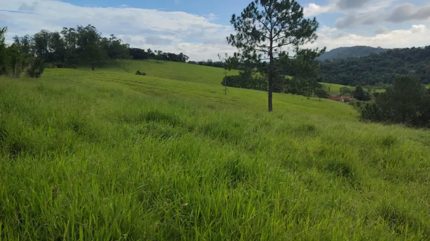 Foto 1 de Lote/Terreno à venda, 500m² em Itapeti, Mogi das Cruzes