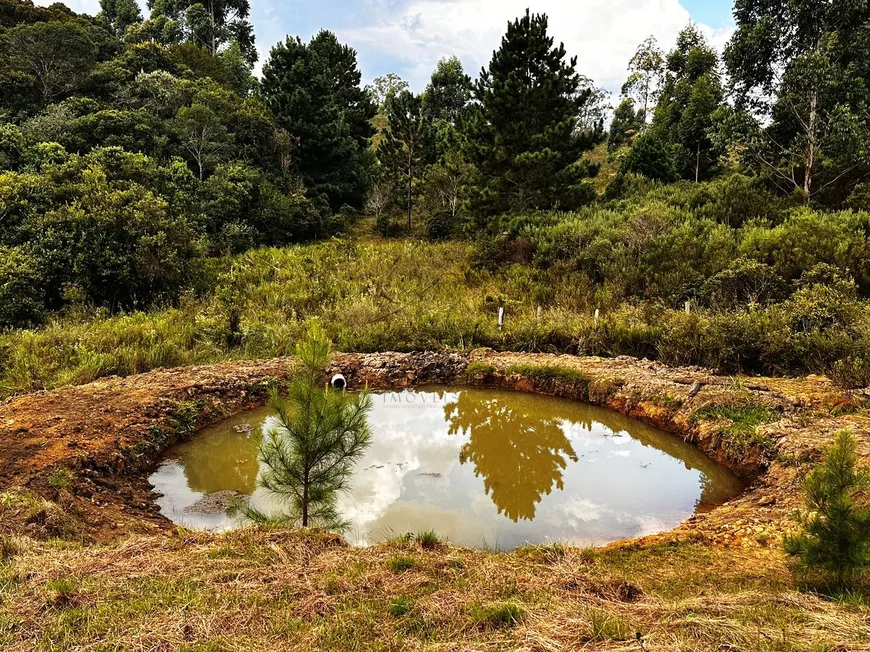 Foto 1 de Fazenda/Sítio à venda, 24000m² em Colonia Santa Maria, Piraquara