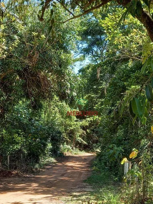 Foto 1 de Fazenda/Sítio com 3 Quartos à venda, 300m² em Zona Rural, Agudos