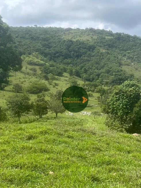 Foto 1 de Fazenda/Sítio à venda, 677600m² em Zona Rural, Itapaci