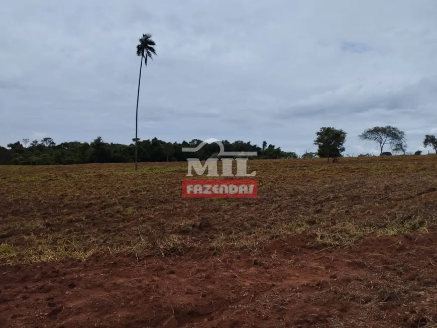 Foto 1 de Fazenda/Sítio à venda, 1974m² em Zona Rural , Morrinhos