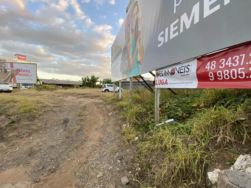 Foto 1 de Lote/Terreno para alugar, 782m² em Rio Maina, Criciúma