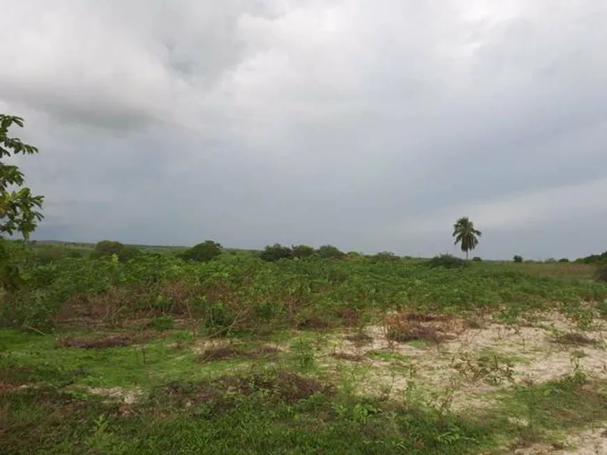 Foto 1 de Fazenda/Sítio à venda, 270000m² em , Macaíba