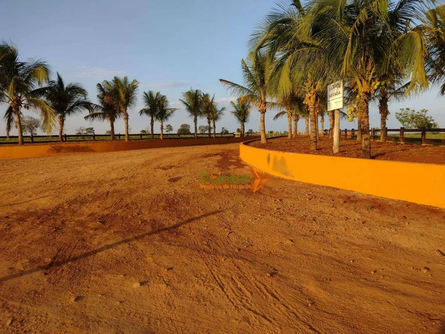 Foto 1 de Fazenda/Sítio à venda, 63356m² em Zona Rural, Cassilândia