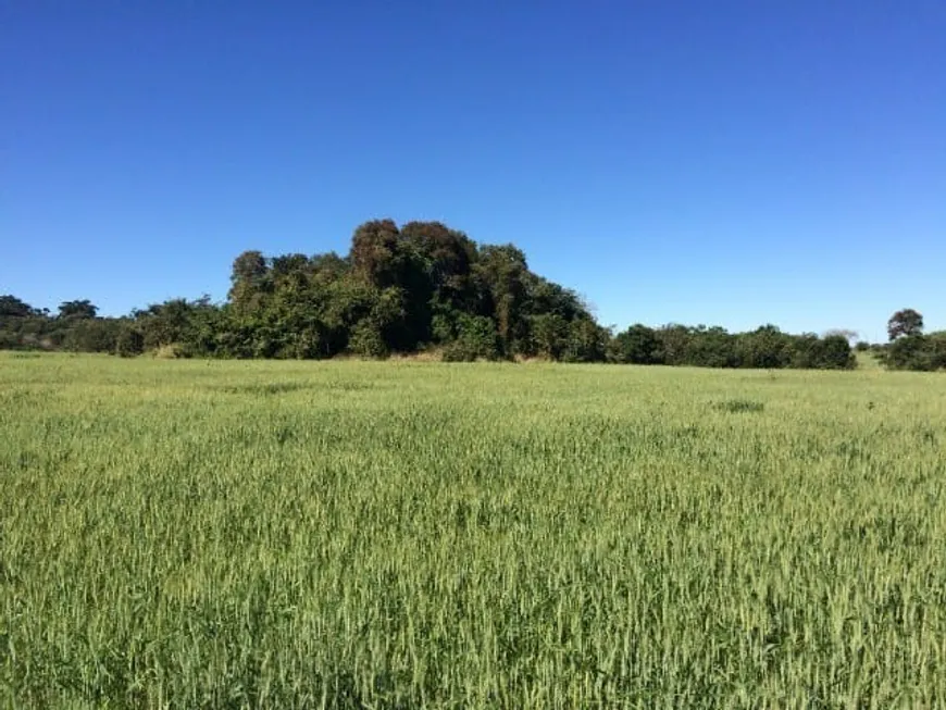 Foto 1 de Fazenda/Sítio com 1 Quarto à venda, 1m² em Area Rural de Itapetininga, Itapetininga