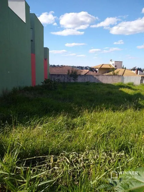 Foto 1 de Lote/Terreno à venda, 229m² em Centro, Arapongas