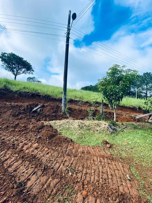 Foto 1 de Lote/Terreno à venda, 1000m² em Parque Residencial Itapeti, Mogi das Cruzes