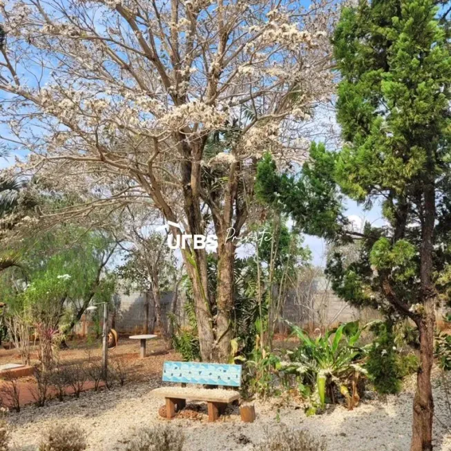 Foto 1 de Fazenda/Sítio com 6 Quartos à venda, 50000m² em Sitios Olhos D agua, Senador Canedo