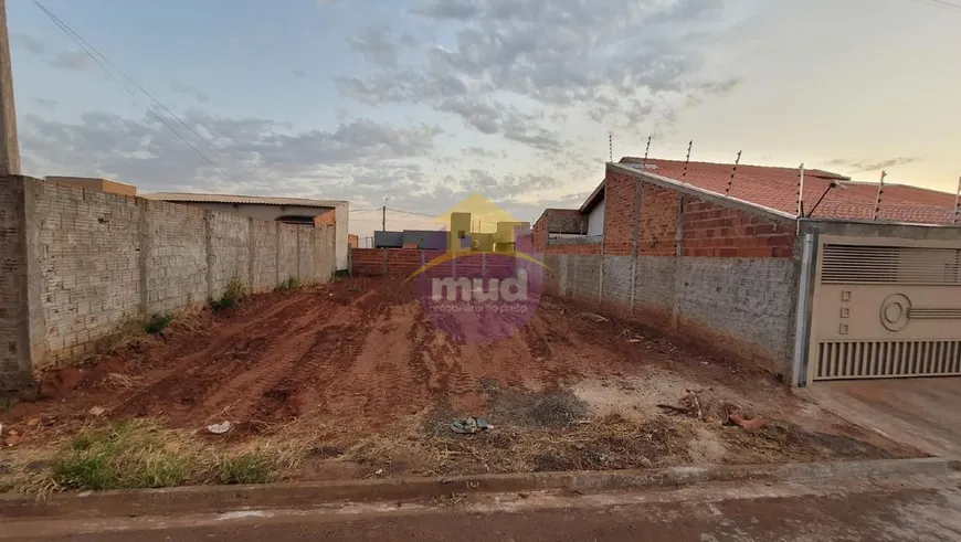 Foto 1 de Lote/Terreno à venda em Residencial Menezes, Bady Bassitt