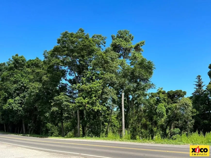 Foto 1 de Lote/Terreno à venda, 2604m² em Vale Verde, Nova Petrópolis