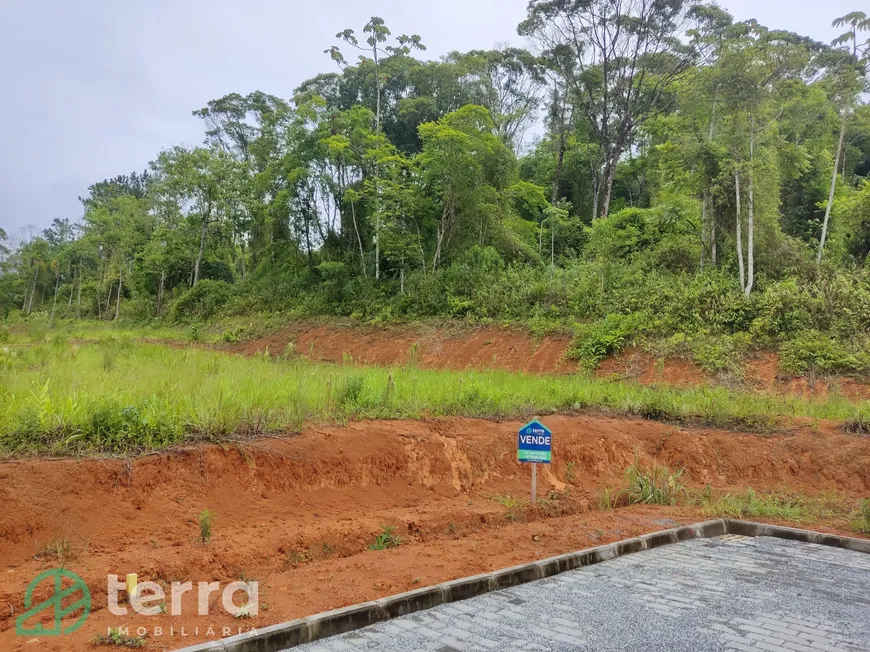 Foto 1 de Lote/Terreno à venda, 445m² em Rodeio 12, Rodeio