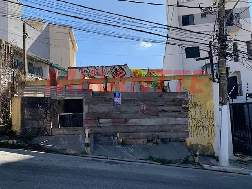 Foto 1 de Lote/Terreno à venda, 500m² em Vila Granada, São Paulo