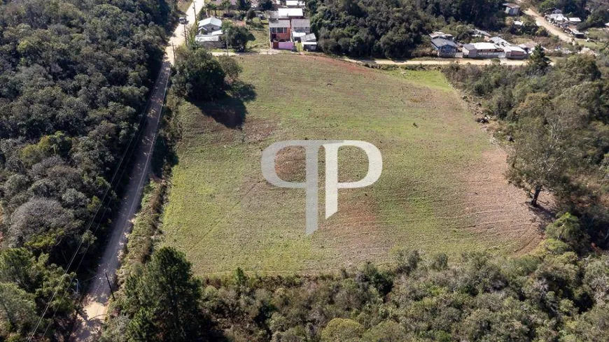 Foto 1 de Lote/Terreno à venda, 5000m² em São Sebastiao, São José dos Pinhais