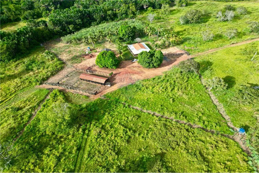 Foto 1 de Fazenda/Sítio com 3 Quartos à venda, 3920m² em , Filadélfia