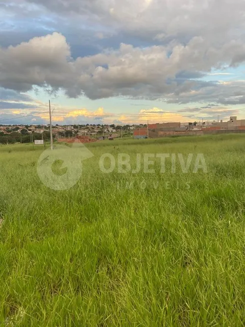 Foto 1 de Lote/Terreno à venda, 250m² em Aclimacao, Uberlândia