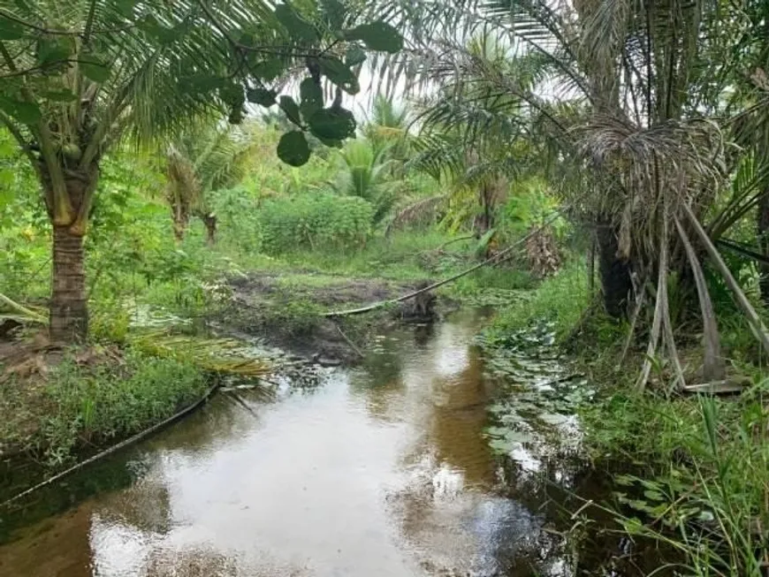 Foto 1 de Fazenda/Sítio à venda, 40000m² em , 