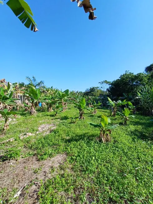 Foto 1 de Lote/Terreno à venda, 1600m² em Ana Dias, Itariri