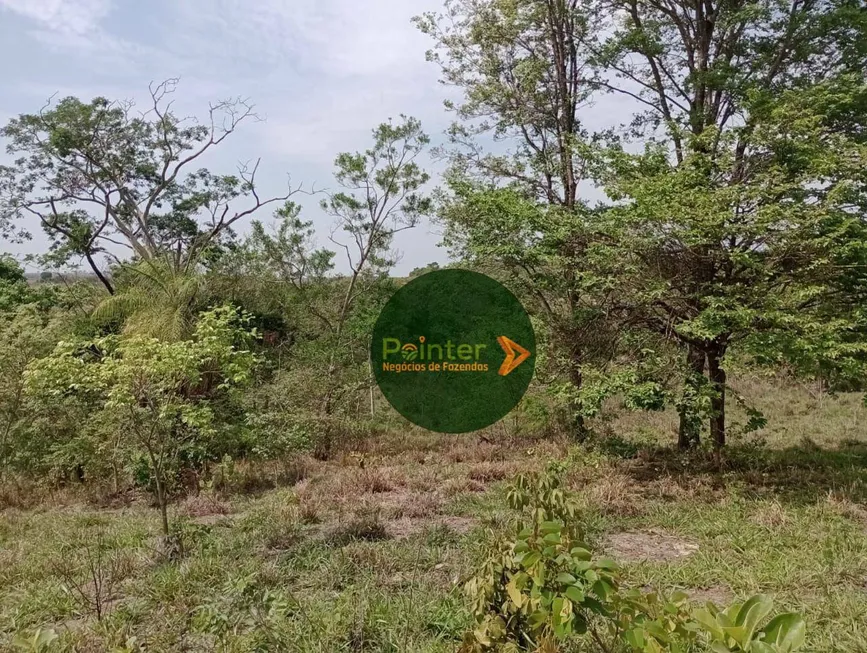 Foto 1 de Fazenda/Sítio com 3 Quartos à venda, 338800m² em Zona Rural, Cezarina