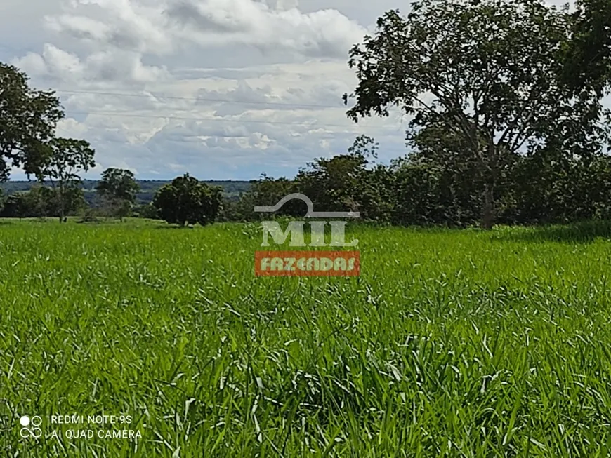 Foto 1 de Fazenda/Sítio à venda, 489m² em Centro, Montividiu do Norte