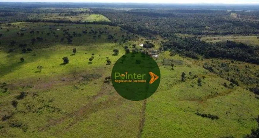 Foto 1 de Fazenda/Sítio à venda, 10009120m² em , Paraíso do Tocantins