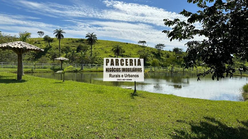 Fazenda/Sítio na Rua Elías Rodrigues Costa, SN, Melo Viana em