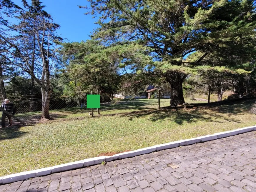 Foto 1 de Fazenda/Sítio com 1 Quarto à venda, 10000m² em Linha Palmeiro, Farroupilha