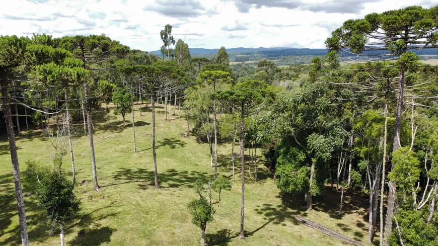 Foto 1 de Fazenda/Sítio à venda, 30000m² em Centro, Campo Alegre