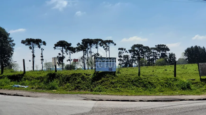 Foto 1 de Lote/Terreno para alugar, 20000m² em Rio Pequeno, São José dos Pinhais