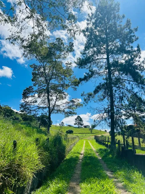 Foto 1 de Lote/Terreno à venda, 500m² em Morro Grande, Ibiúna