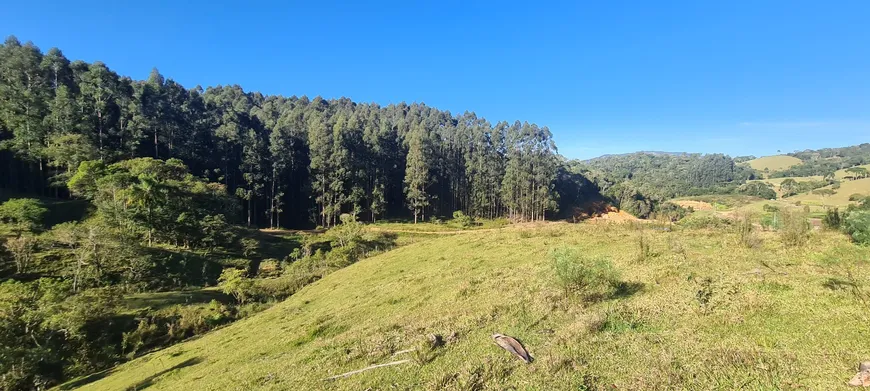 Foto 1 de Fazenda/Sítio à venda, 300000m² em Zona Rural, Angelina