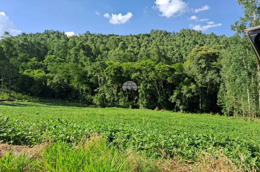 Foto 1 de Fazenda/Sítio à venda, 30000m² em Zona Rural, Pato Branco