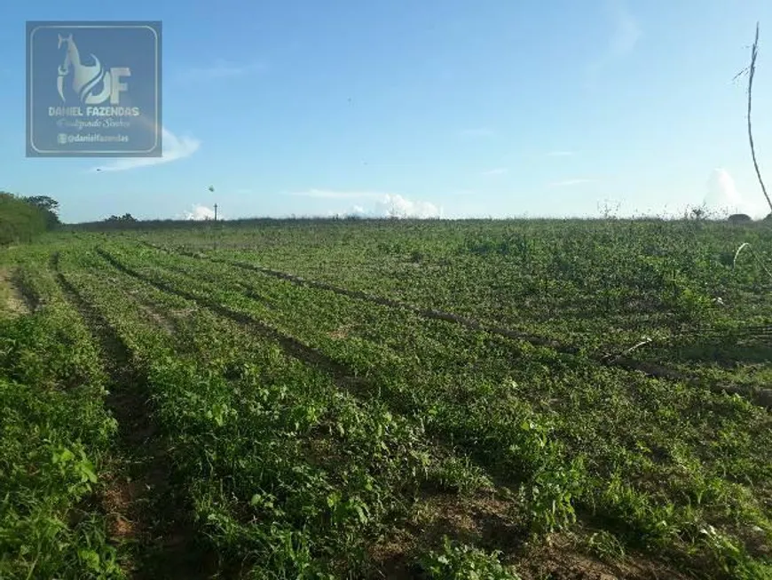 Foto 1 de Fazenda/Sítio com 3 Quartos à venda, 42000m² em Corrego de Sao Mateus, Boa Saúde