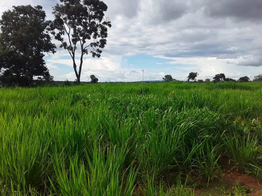 Foto 1 de Fazenda/Sítio com 1 Quarto à venda em Centro, Casa Nova