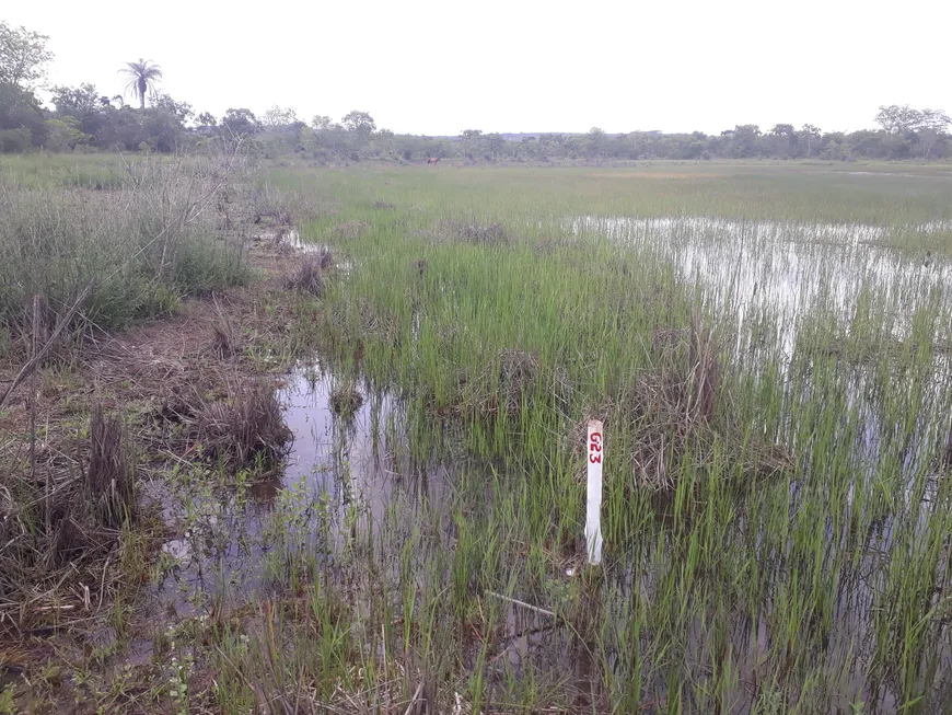 Foto 1 de Lote/Terreno à venda, 20000m² em Zona Rural, Araçaí