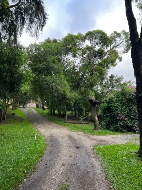 Foto 1 de Lote/Terreno à venda, 5000m² em São Braz, Curitiba