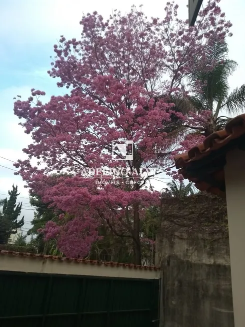 Foto 1 de Casa com 4 Quartos à venda, 331m² em Morumbi, São Paulo